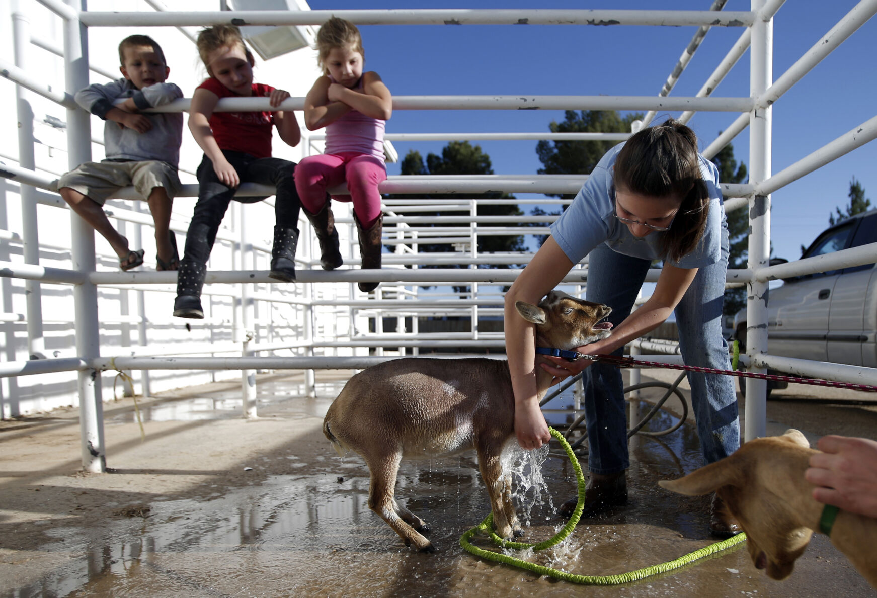 Pima County Fair